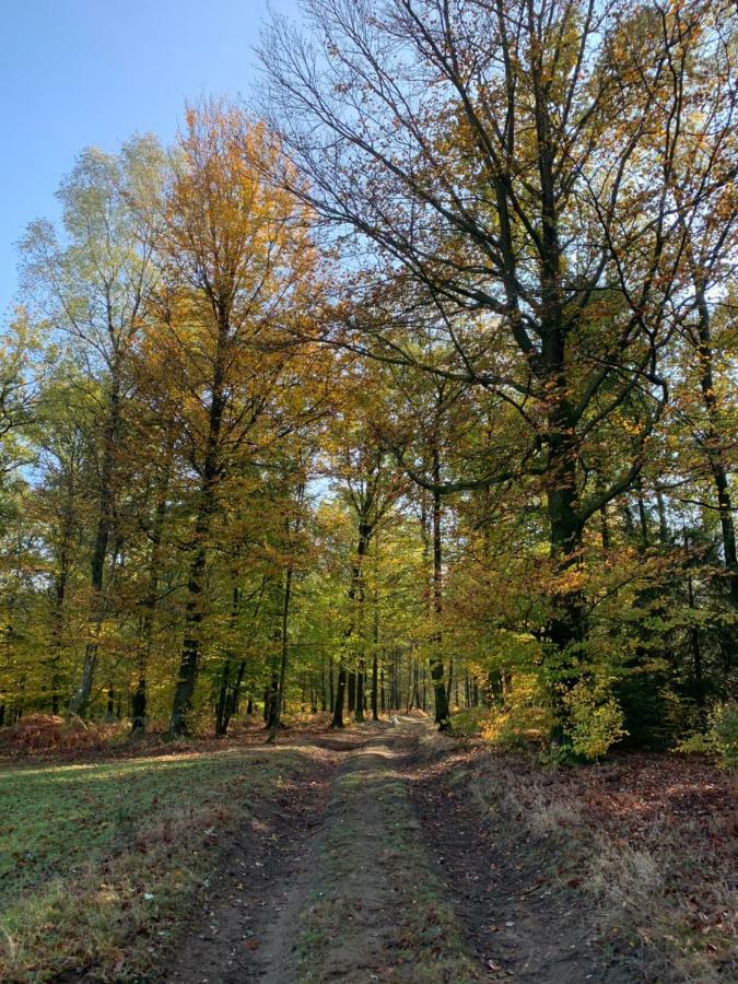 Gites La Tabatiere Laforêt Extérieur photo