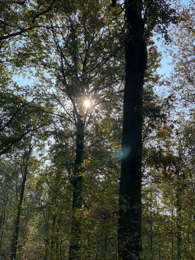Gites La Tabatiere Laforêt Extérieur photo